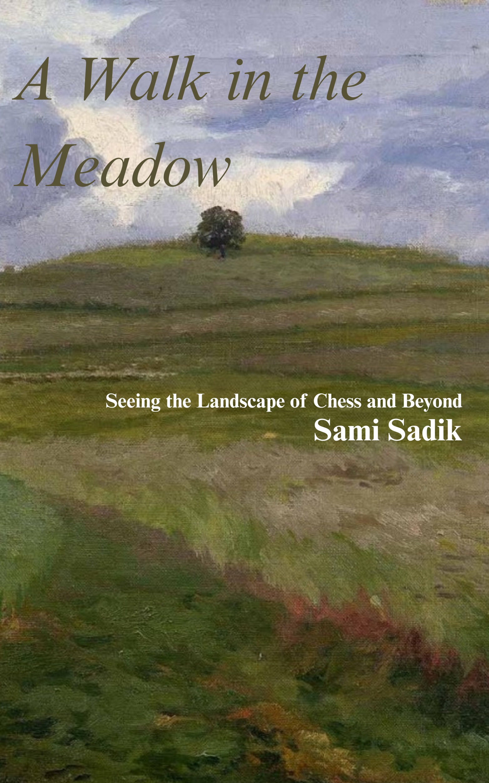 A Walk in The Meadow: Seeing Landscape of Chess and Beyond